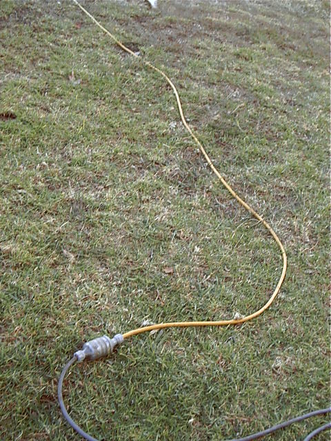 A strange looking snake