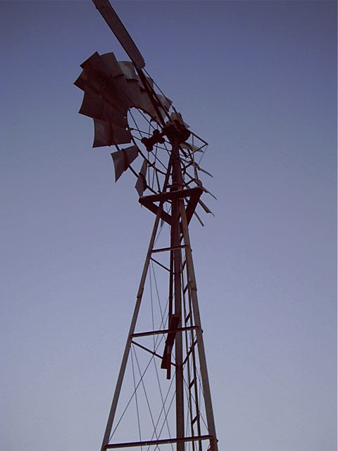 Tall