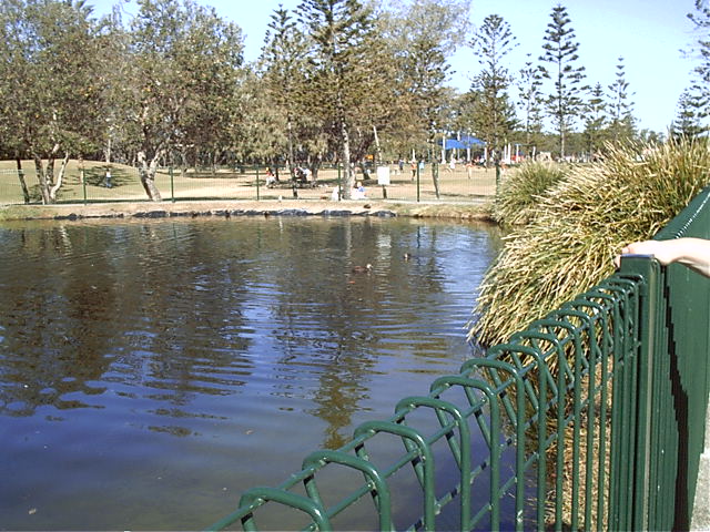 Ducks.  Just like at GPS!