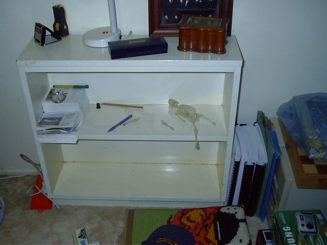 Nearly empty book self