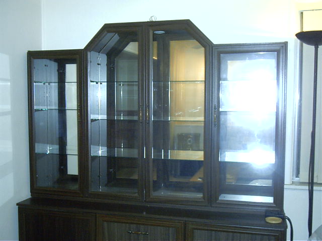 Empty case