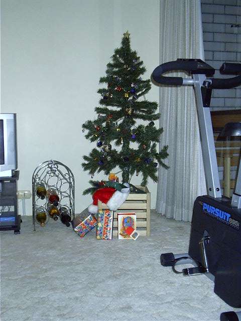My sisters tree. Bigger than mine, but just as cheap.