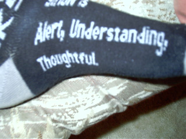 Apparently I am Alert, Understanding and Thoughtful.