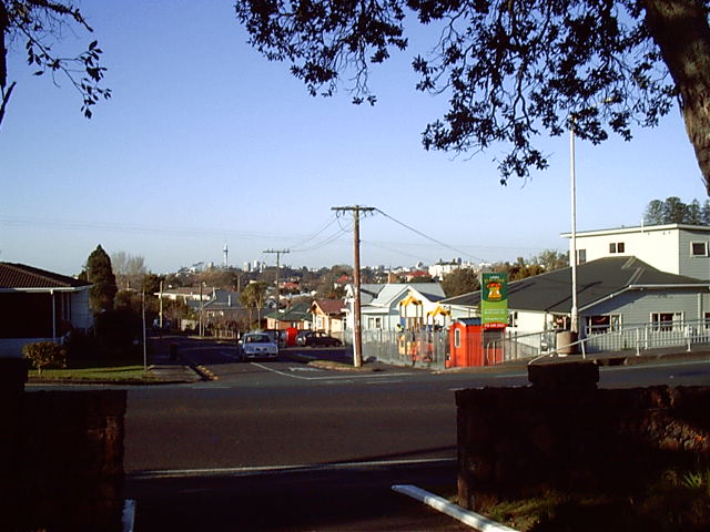View of Auckland and the big tower