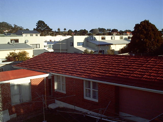 The view out back
