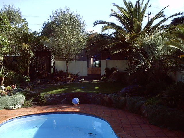 The front garden and pool area