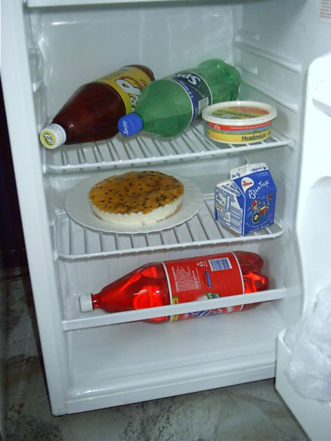 The fridge is filled with the bare essentials