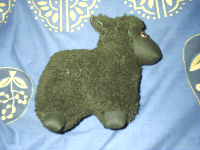 For Vicki, baaing sheep