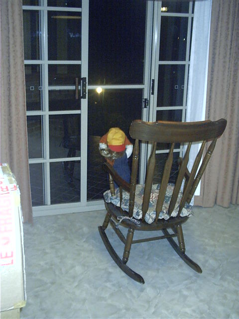 The little kid checks the view