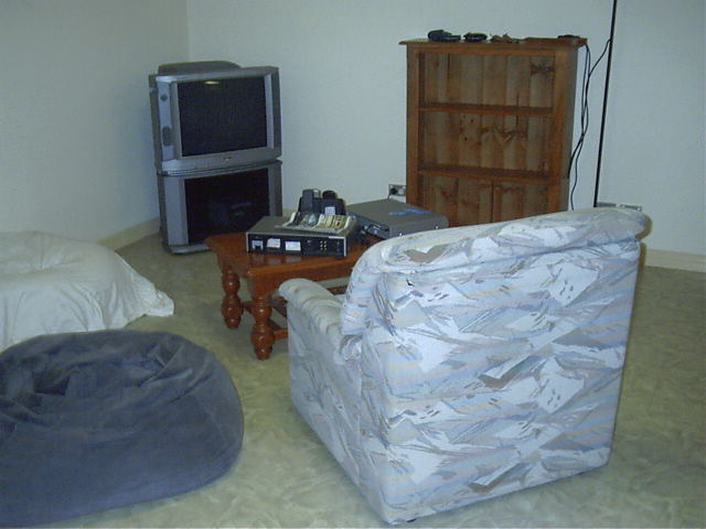 The entertaining room