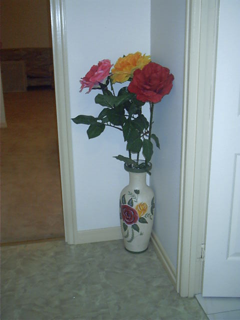 Big flowers