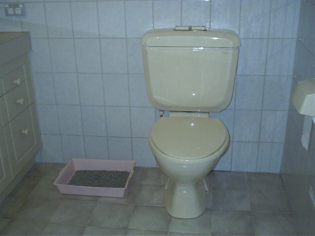 Parents bathroom