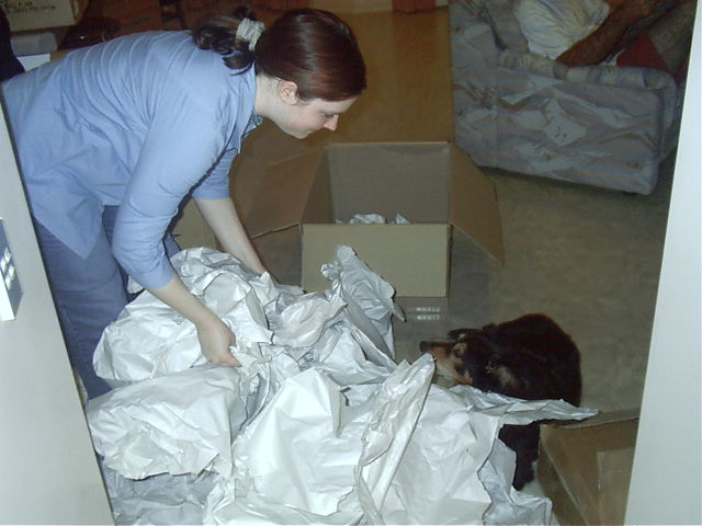 Tanya is hard at work