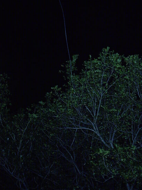The power-tree
