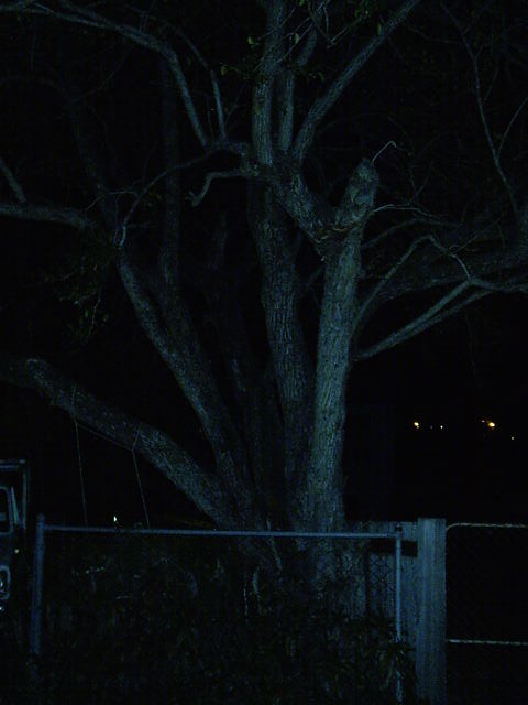 More power-tree