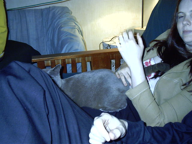 Tanya has a nice.... cat