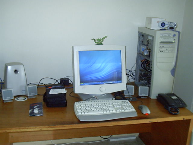 Windows back