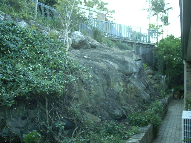The back garden is cleared