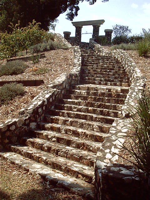 Kewl steps