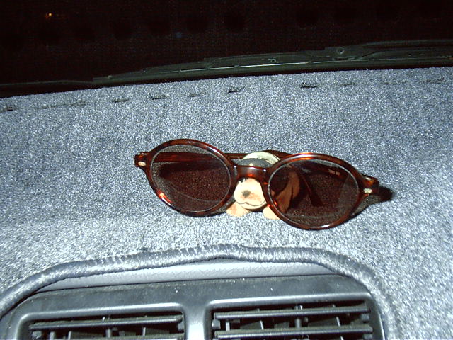 Cool dog