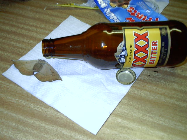 Once again, Moth gets smashed at a party