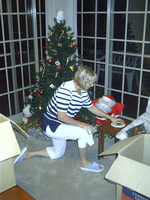 Mum sets up the xmas tree