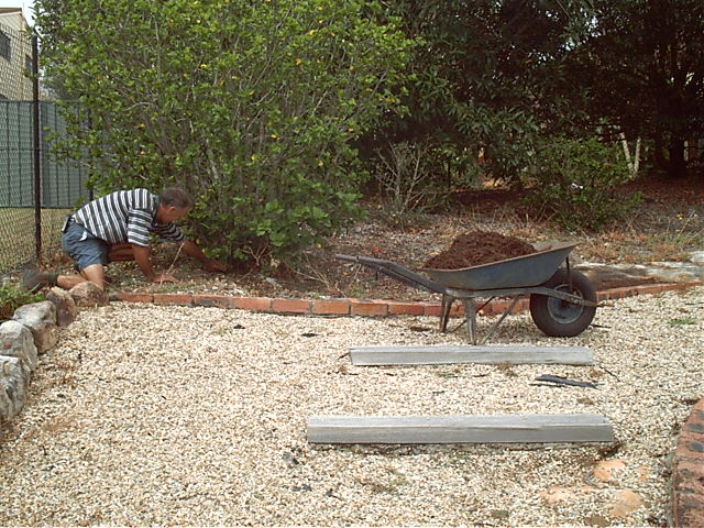 Dumping starts up the back