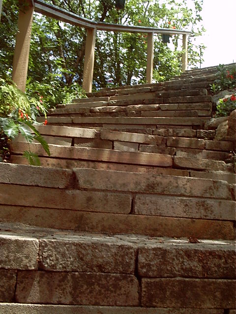 The killer stairs