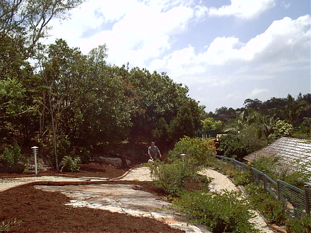 The new top garden