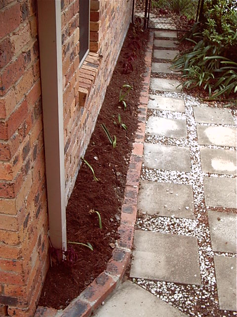 The side garden, huge.
