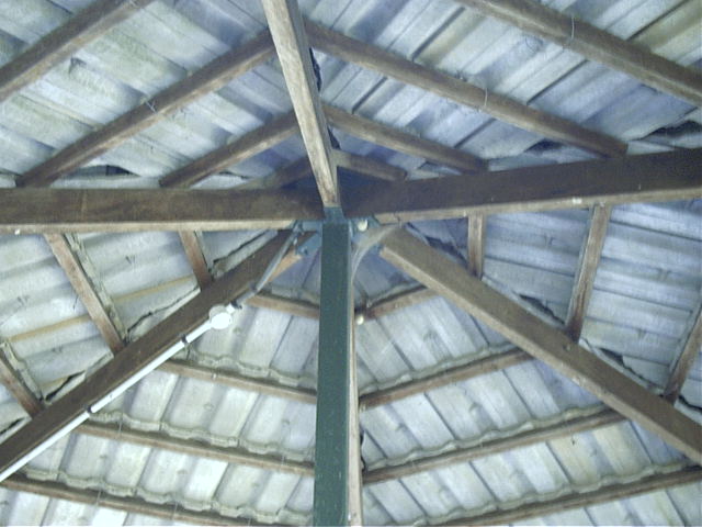 Spider city