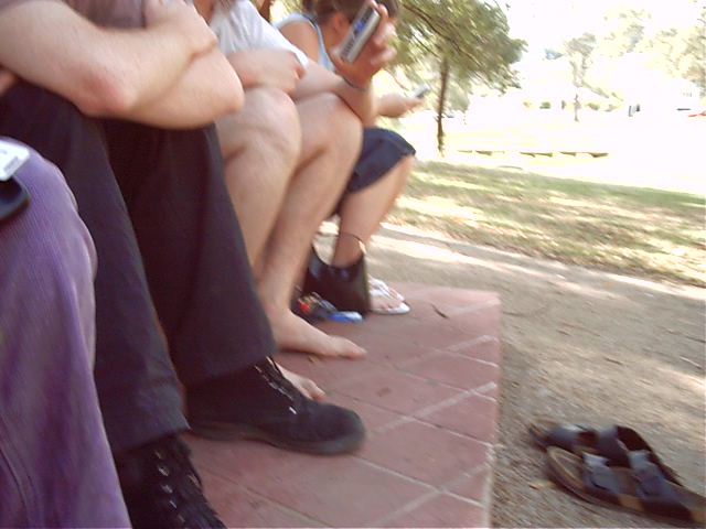 Legs eleven