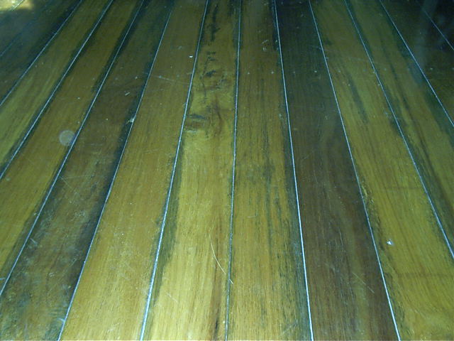 Nice floors