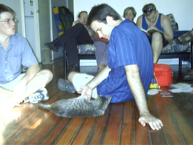 Azure gets some 'pussy'