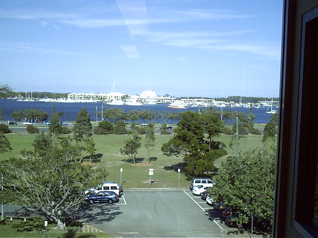 The view from Shawn's dad's office-surgery
