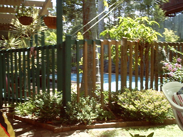 The pool