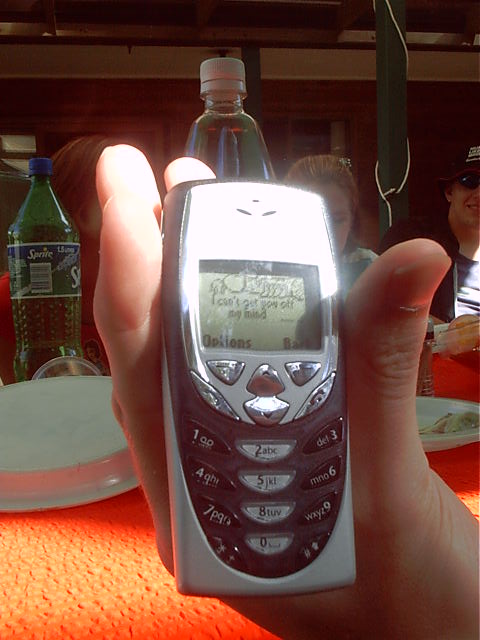 The SMS. 'I can't get you out of my mind'