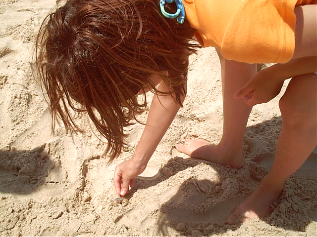 Lui chases a crab