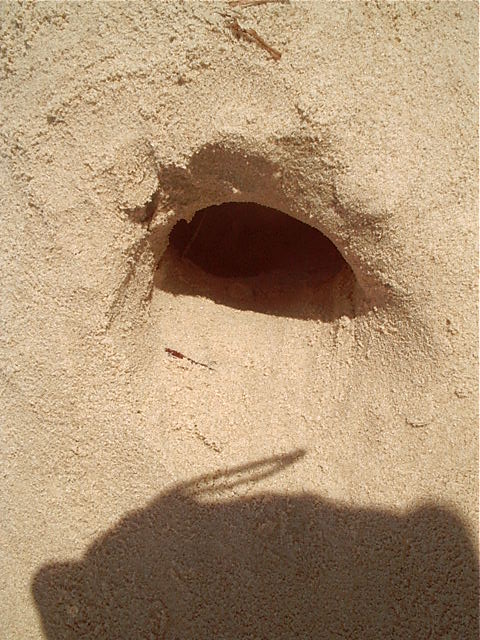 And tops doors lead to bottom