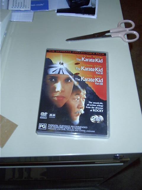 A brief interlude to watch all 3 Karate Kid movies