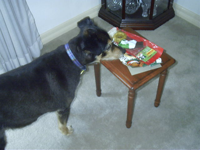 Oscar checks out his gift