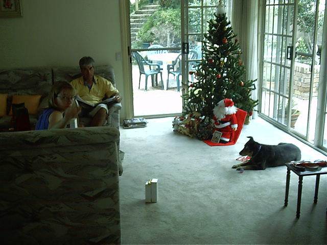 Relaxing on xmas day