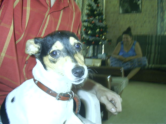 Off to Draxy's for gift swapping, and a pic of Gendo, Liz's new puppy