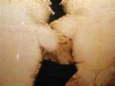 Volume 17, Image 2751