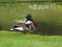 Volume 35, Image 3798