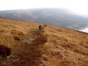 Volume 35, Image 3808
