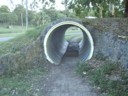 The home of feral kids.