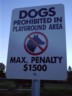 Just say 'no' to dogs kids.