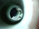 Eye spy, with my little eye, someone asking for... an ass-kicking.
