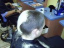 Draxy mid-shave. No more blondey.
